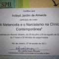 Ampliar imagem: certificate 10