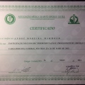 Ampliar imagem: certificate 6