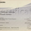 Ampliar imagem: certificate 4