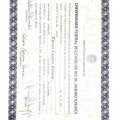 Ampliar imagem: certificate 2