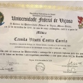 Ampliar imagem: certificate 6