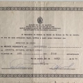 Ampliar imagem: certificate 11