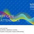 Ampliar imagem: certificate 3