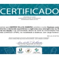 Ampliar imagem: certificate 7