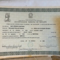 Ampliar imagem: certificate 5