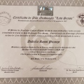 Ampliar imagem: certificate 2
