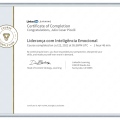 Ampliar imagem: certificate 15