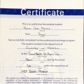 Ampliar imagem: certificate 4