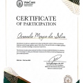 Ampliar imagem: certificate 1