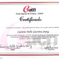 Ampliar imagem: certificate 1