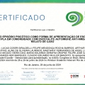Ampliar imagem: certificate 2