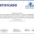 Ampliar imagem: certificate 12