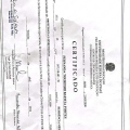 Ampliar imagem: certificate 2
