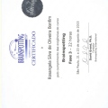Ampliar imagem: certificate 3