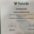 Ampliar imagem: certificate 9