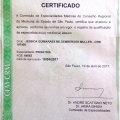 Ampliar imagem: certificate 3