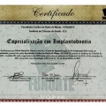 Ampliar imagem: certificate 7
