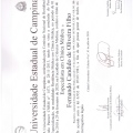 Ampliar imagem: certificate 5
