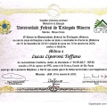 Ampliar imagem: certificate 3