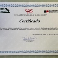Ampliar imagem: certificate 4