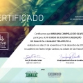 Ampliar imagem: certificate 7