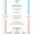 Ampliar imagem: certificate 1