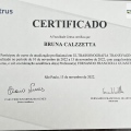Ampliar imagem: certificate 1