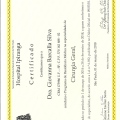 Ampliar imagem: certificate 2