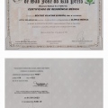 Ampliar imagem: certificate 3
