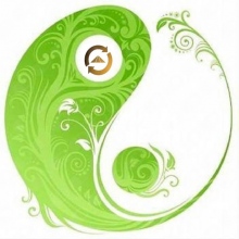 Espaço Vida e Equilibrio