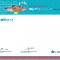 Ampliar imagem: certificate 3