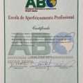 Ampliar imagem: certificate 3