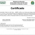Ampliar imagem: certificate 4