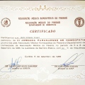 Ampliar imagem: certificate 28