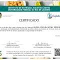 Ampliar imagem: certificate 4