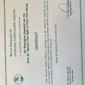 Ampliar imagem: certificate 8