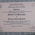 Ampliar imagem: certificate 4