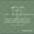 Ampliar imagem: certificate 9