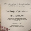 Ampliar imagem: certificate 13