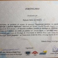 Ampliar imagem: certificate 2