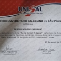 Ampliar imagem: certificate 4