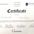 Ampliar imagem: certificate 33