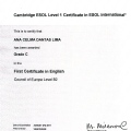Ampliar imagem: certificate 2