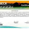 Ampliar imagem: certificate 38