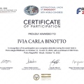 Ampliar imagem: certificate 2