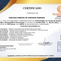 Ampliar imagem: certificate 2