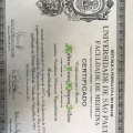 Ampliar imagem: certificate 2