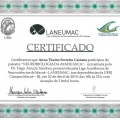 Ampliar imagem: certificate 16