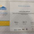 Ampliar imagem: certificate 13