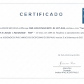 Ampliar imagem: certificate 11